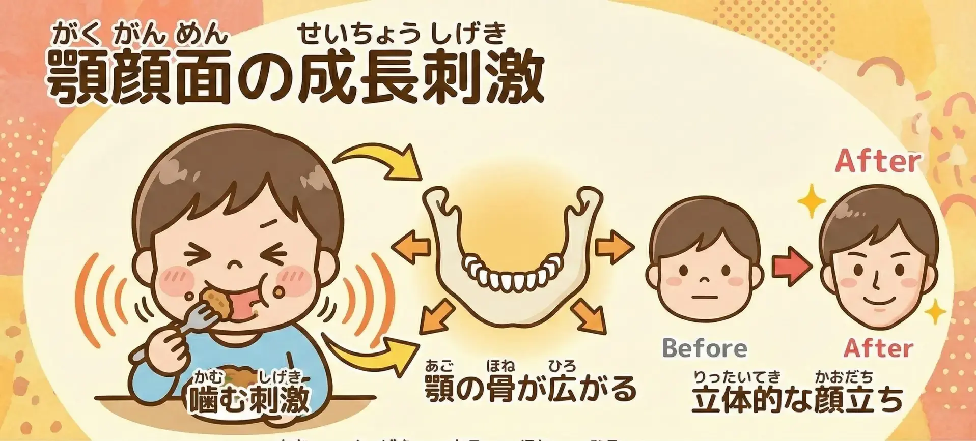 顎顔面の成長刺激