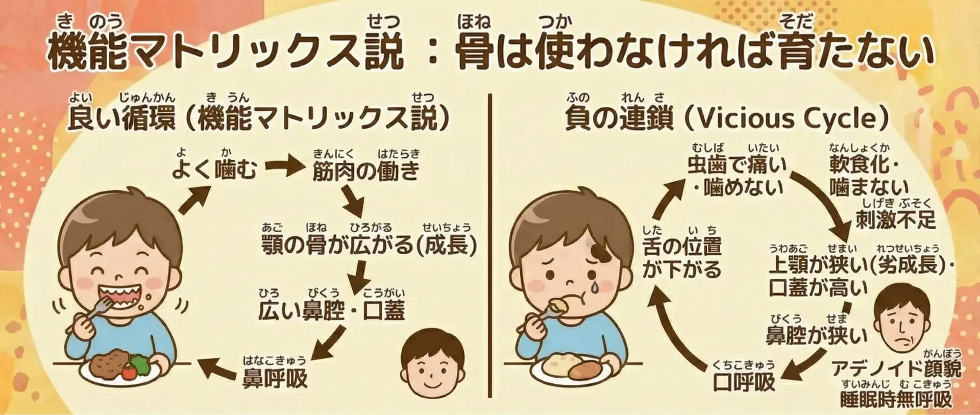 機能マトリックス説イメージ