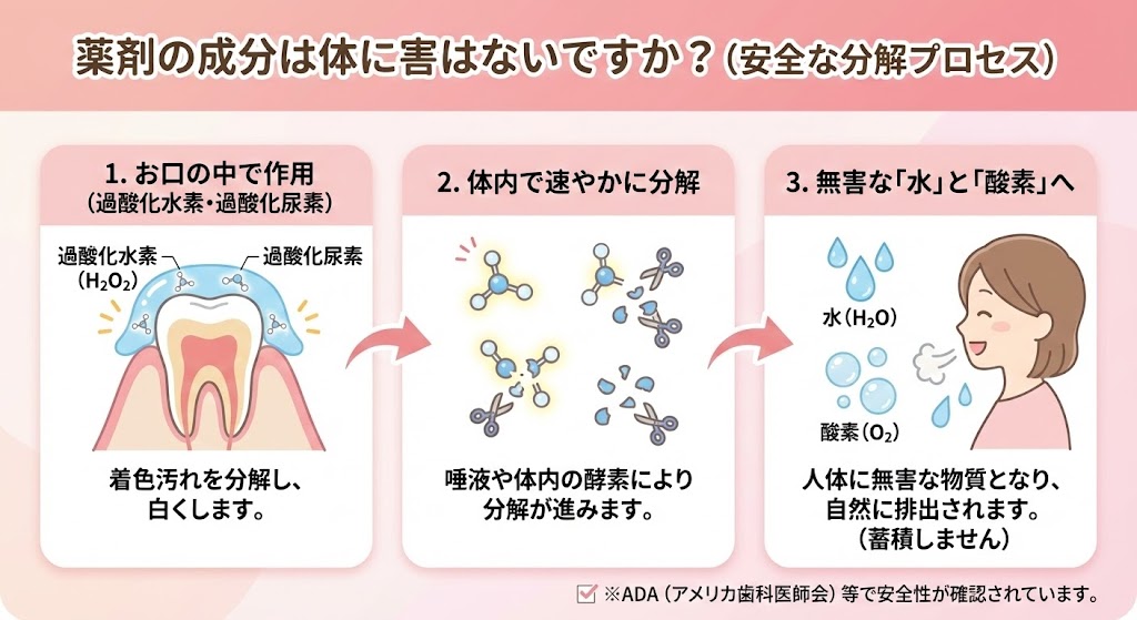 薬剤の安全性を説明する様子