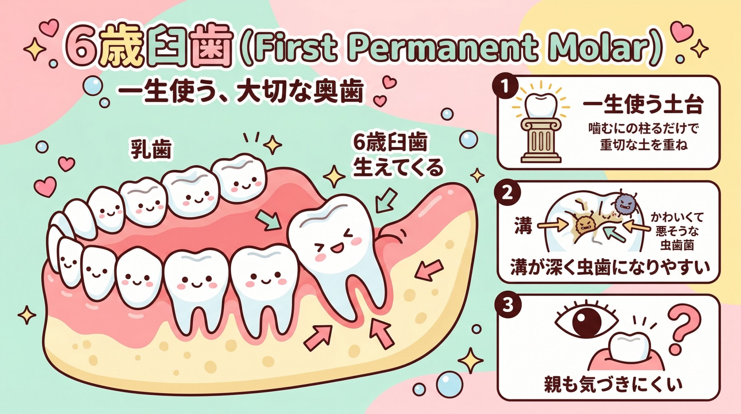 6歳臼歯の重要性を示すインフォグラフィック — 土台の歯・虫歯になりやすい・気づきにくい