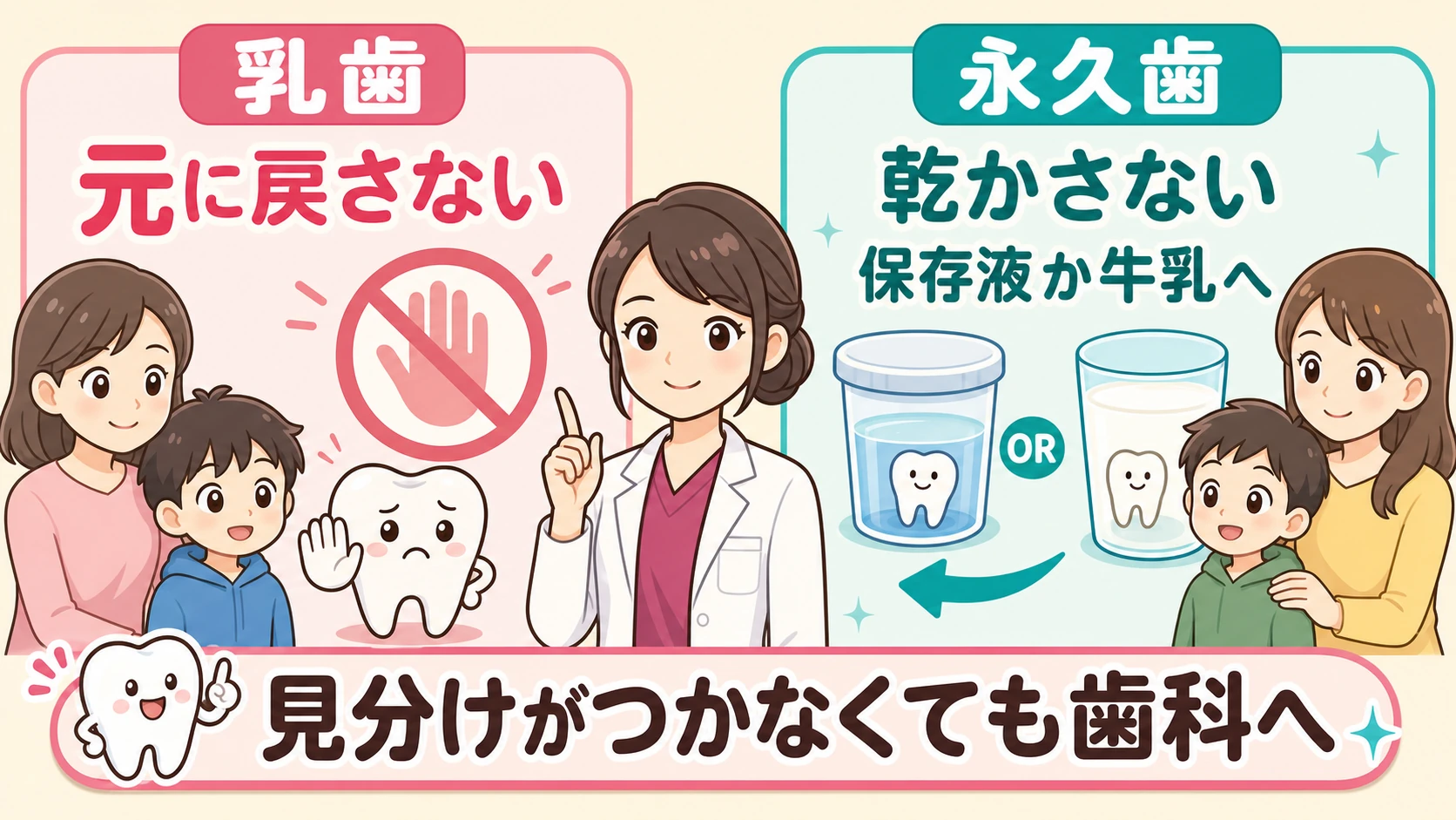 乳歯と永久歯が抜けたときの対応の違い